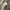 Adidas Casual Casual shoe Pria white photo 3