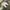 Adidas Casual Casual shoe Pria white photo 4