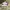 Adidas Casual Casual shoe Pria white photo 2