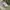Adidas Casual Casual shoe Pria white black photo 2