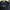 Anzu japanese skull glitter bodyshape japanese vkei style gr photo 5
