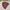 Jacket puffer ultralight packable unionbay marron photo 3