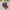 Jacket puffer ultralight packable unionbay marron photo 2