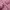 Jacket puffer ultralight packable unionbay marron photo 5