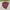 Jacket puffer ultralight packable unionbay marron photo 8