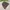 Jacket puffer ultralight packable unionbay marron photo 6