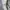 Polham zipper hoodie sherpa  photo 4