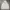 Hoodie Nike photo 1