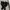 SUICOKE VIBRAM FIVE FINGERS SHOES photo 5