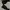 SUICOKE VIBRAM FIVE FINGERS SHOES photo 6