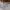 GUESS POCKET photo 4