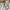 Balenciaga Vintage Luxury Shirt Wanita white photo 6