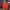Crewneck Pancoat