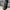 Gitar Elektrik ROCKWELL RG-02 BLACK ORIGINAL photo 4