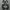 new balance 1906 photo 5