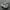 new balance elit photo 1