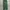 Stussy Streetwear Tracksuit Pria green white photo 1