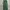 Stussy Streetwear Tracksuit Pria Green White