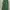 Stussy Streetwear Tracksuit Pria green white photo 2