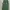 Stussy Streetwear Tracksuit Pria Green White