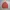 Top Ten Casual Sweatshirt Pria Orange
