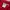 Carhartt Streetwear Sportswear Sweatpants & Joggers Pria white red photo 4