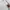 Nike Vintage Streetwear Windbreaker Pria white photo 3