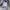 Lacoste Luxury Casual Formal shirt Pria multicolor photo 4