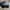 Bolon Sun Glasses