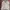 Lyle & Scott Long Sleeve Polo Shirt Basic White photo 5