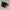 Nike Vintage Y2K Sneakers Pria white red black photo 3