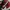 Nike Vintage Y2K Sneakers Pria white red black photo 6