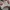 Nike Vintage Y2K Sneakers Pria white red black photo 8