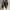 Payless Fioni Black Heels photo 1