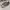 Converse chuck Taylor All Star Camo  photo 2