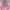 Dress pink no brand photo 1