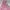 Dress Pink No Brand