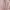 Top pink coquette photo 2