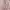 Top Pink Coquette