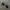 Silver Vintage Jean Paul Gaultier 58-6104 Sunglasses photo 4