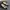 Paris Zoey Women Flat Shoes Mischa photo 2