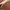 Vans slip on checkerdboard anaheim photo 7