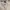 american eagle bootcut pants flare beige photo 5