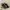 Vivaia Michelle PointedToe Loafers Black Cream photo 3