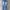 Final home Japan Jeans photo 3