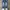 Final home Japan Jeans photo 1