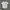 KAOS STUSSY SIZE L photo 1