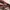Boskovich cap photo 3