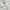 BOSTON RED SOX MLB JERSEY BASEBALL  photo 6