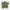 green shirts crinkle photo 1